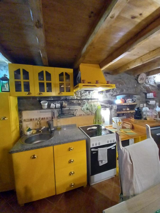 Talasnal Casas Da Urze Ter 로우사 외부 사진